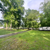 Site